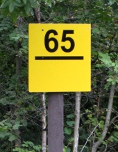 65MP near Connel Ferry