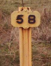 58MP near Taynuilt