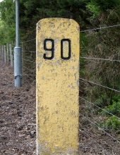90MP at Carrbridge