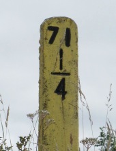 71¼MP near Kingussie