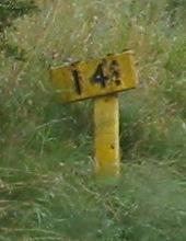 14¾MP near Lugton